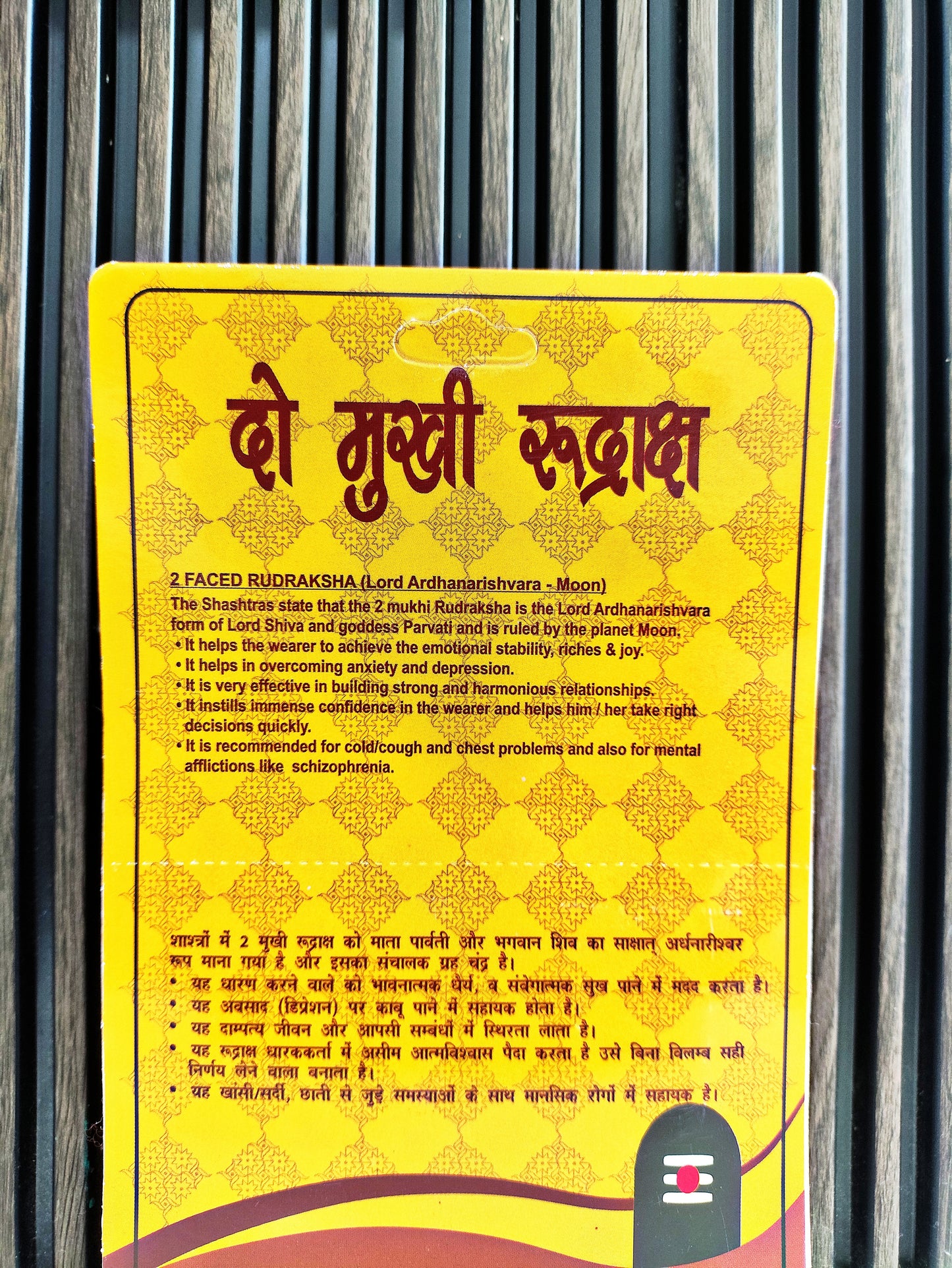 2 Mukhi Rudraksha Bead (Original Do Mukhi Rudraksha Dana) Two Face Rudraksha with Silver Capping