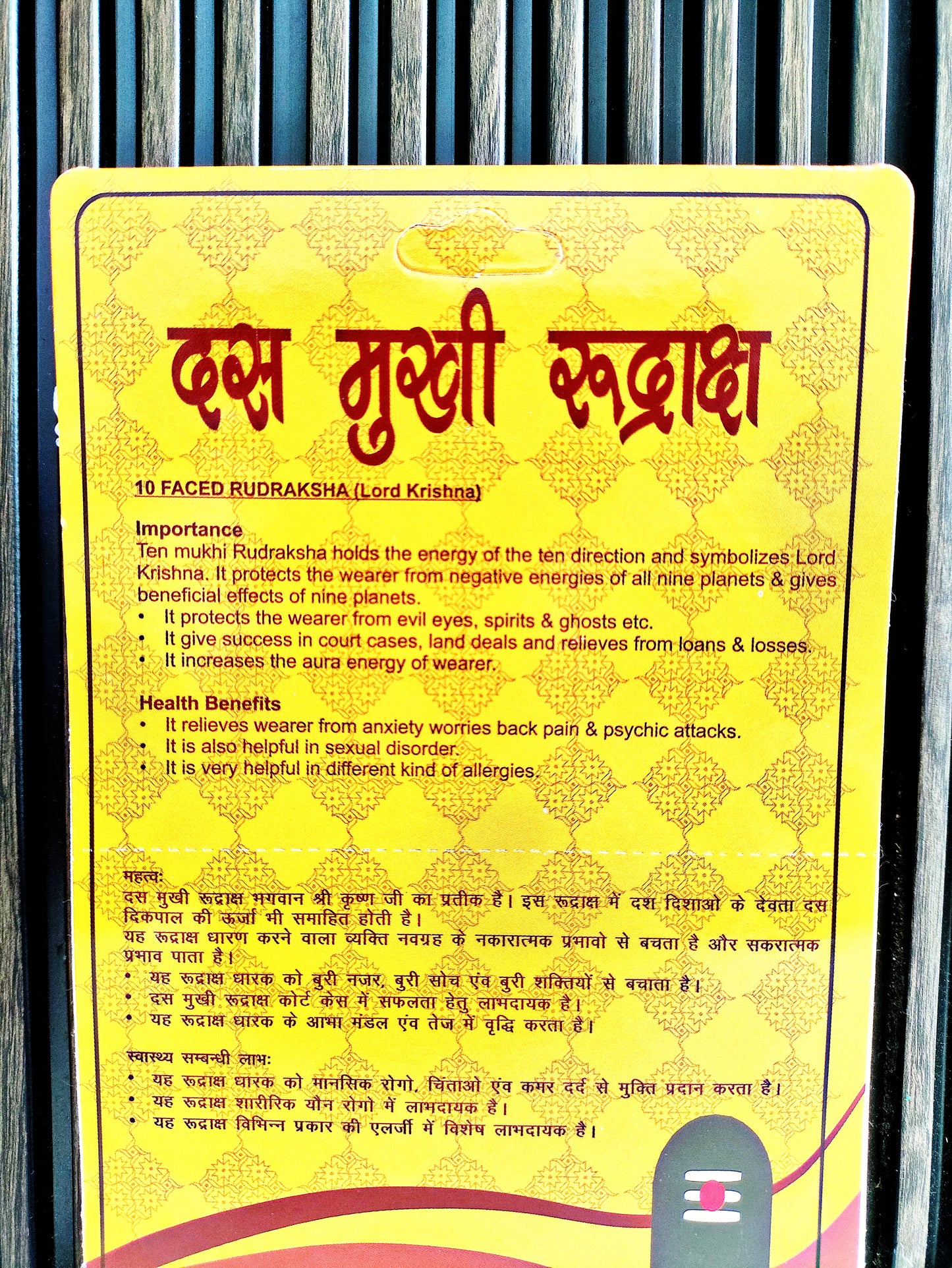 10 Mukhi Rudraksha (Original Dus Mukhi Rudraksha Bead) Ten Face Rudraksha with Silver Capping