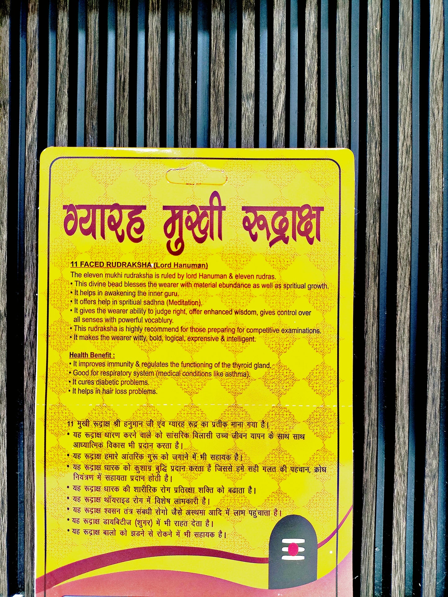 11 Mukhi Rudraksha (Original Gyarah Mukhi Rudraksha Bead) Eleven Face Rudraksha with Silver Capping