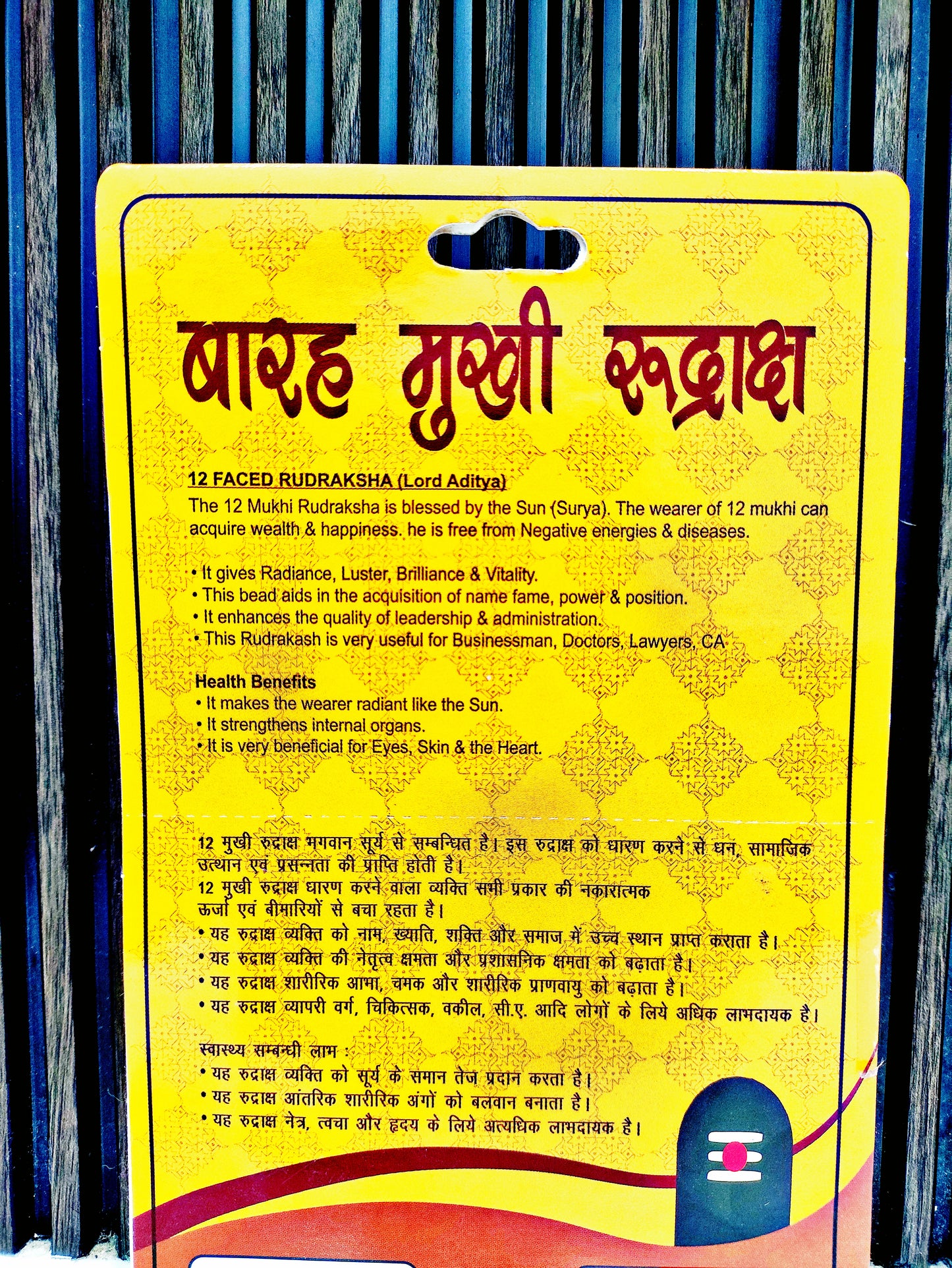 12 Mukhi Rudraksha (Original Barah Mukhi Rudraksha Bead) Twelve Face Rudraksha with Silver Capping