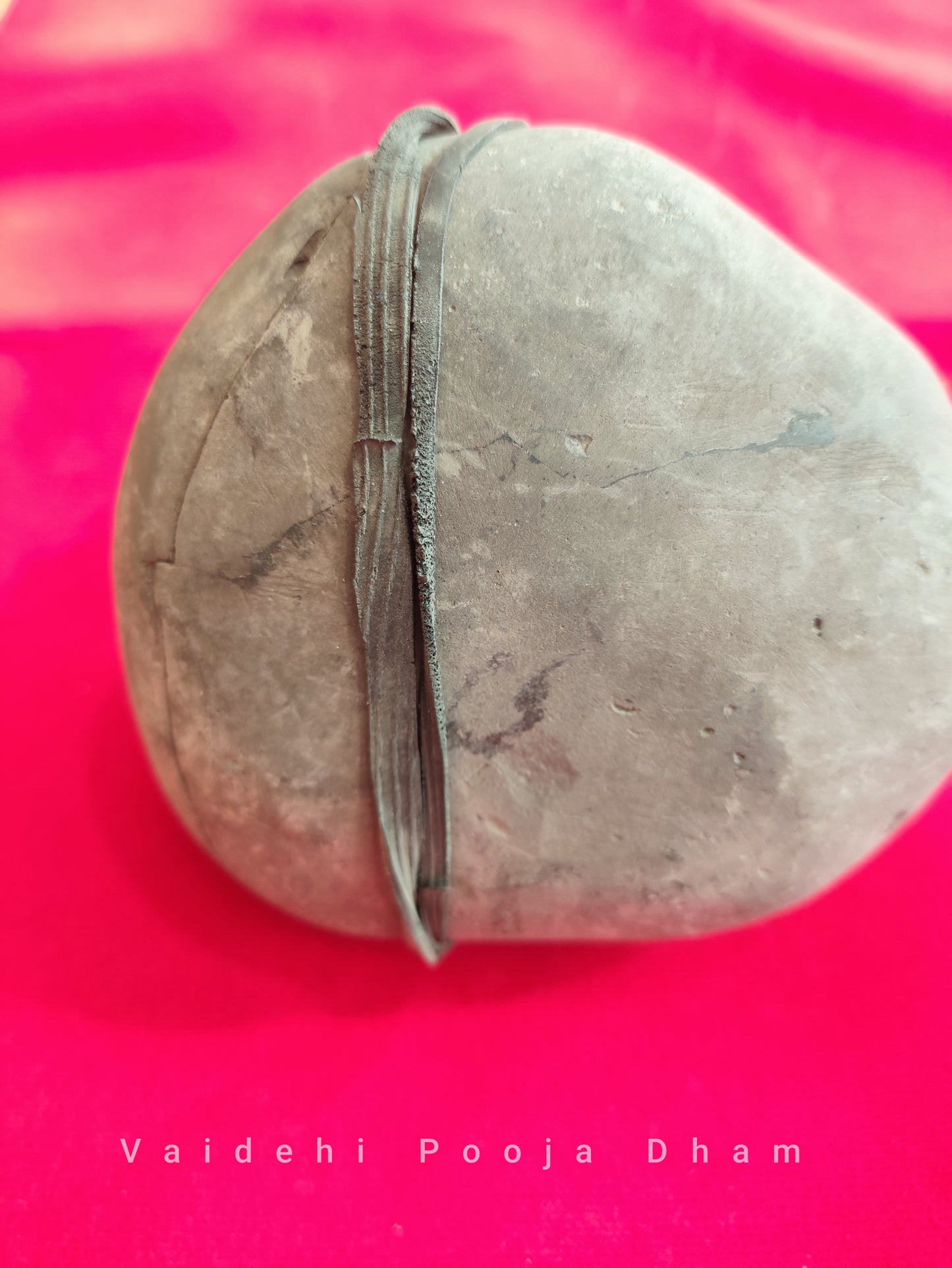 Laxmi Narayan Shaligram From Gandaki River (Original Shaligram Shila/ Stone)