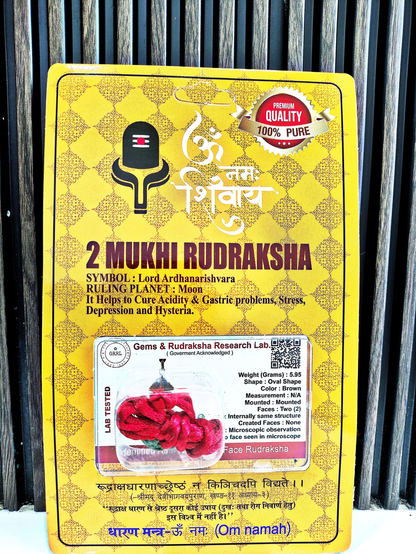 2 Mukhi Rudraksha Bead (Original Do Mukhi Rudraksha Dana) Two Face Rudraksha with Silver Capping