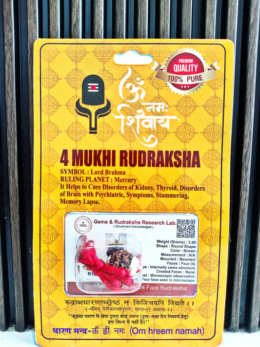 4 Mukhi Rudraksha (Nepali Char Mukhi Rudraksha Bead) Four Face Rudraksha with Silver Capping