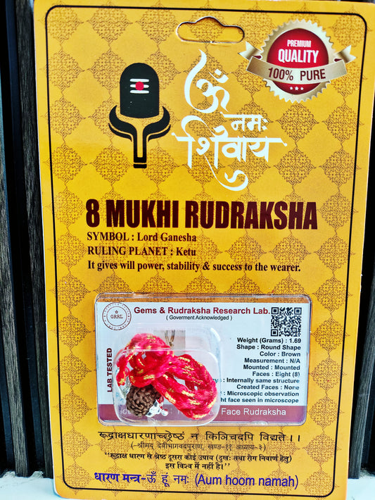 8 Mukhi Rudraksha (Original Aath Mukhi Rudraksha Bead) Eight Face Rudraksha with Silver Capping