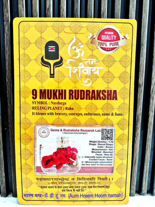 9 Mukhi Rudraksha (Original Nau Mukhi Rudraksha Bead) Nine Face Rudraksha with Silver Capping