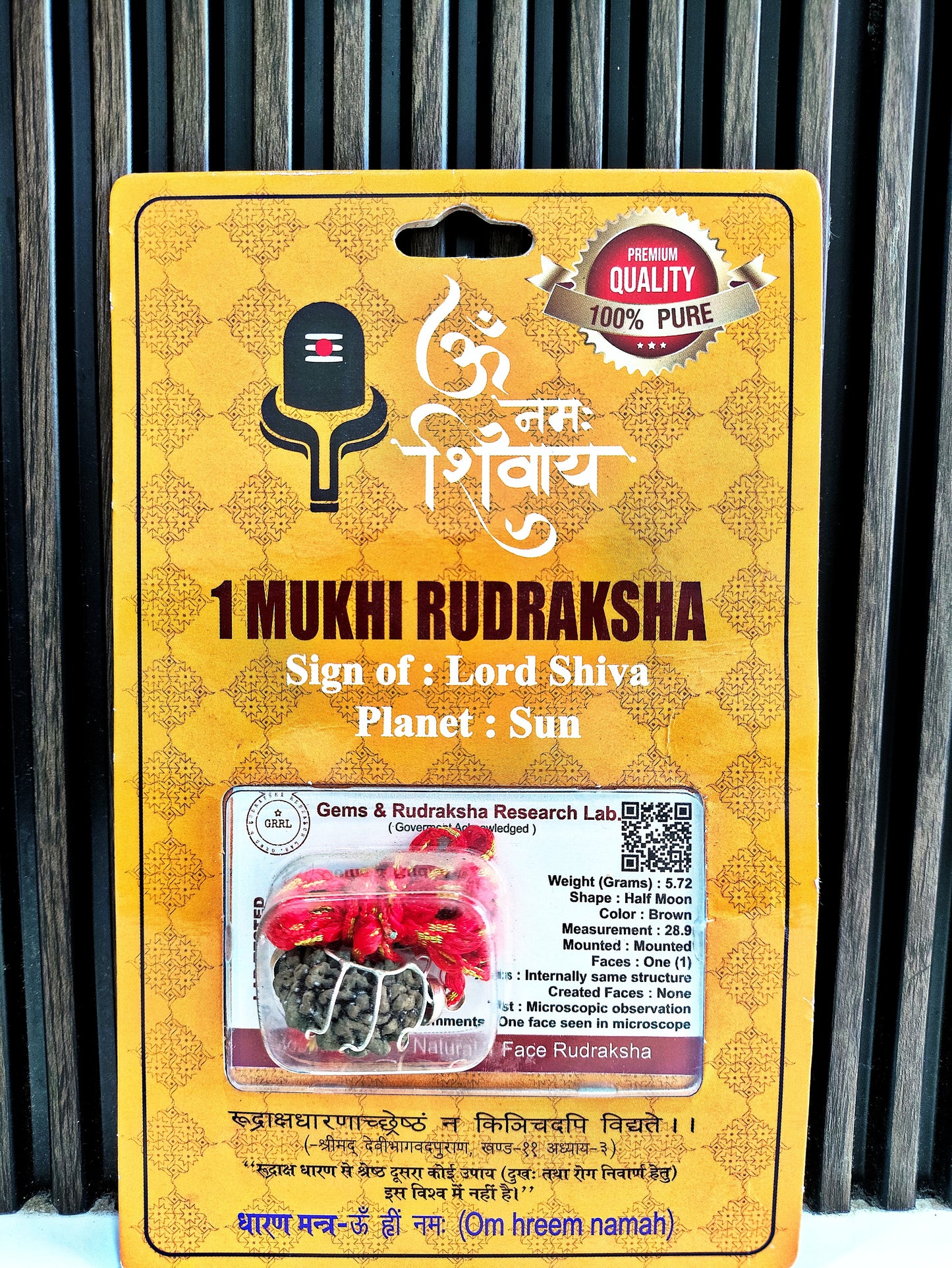 1 Mukhi Rudraksha Bead (Original Ek Mukhi Rudraksha dana) with Silver Capping